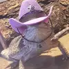 KittyBeardie - @kittybeardie - TikTok