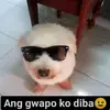 user_brabokittybeard - @user3718035520615 - TikTok