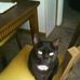 Kitty Bender - Facebook
