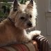 Kitty Berger - Facebook