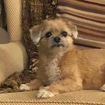 Kitty Kolger Berger - @kitty22311 - Instagram