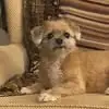 kittykolgerberger - @kitty.kolger.berg - TikTok