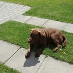 kittybest - @kittybest81 - Instagram
