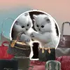 KittysBestPreloved - @kittysbestpreloved - TikTok