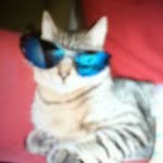 Kitty - @_kittybridges_ - Instagram