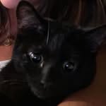 The Real Black Mamba - @kobebryantkitty - Instagram