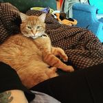 Kitty Christensen - @kitty_isthe_bomb - Instagram