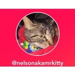 nelson wafers mr kitty coe :)) - @nelsonakamrkitty - Instagram