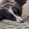 kittycoleman209 - @kittycoleman209 - TikTok