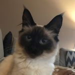 Kitty Rizzo Compton - @kittycompton1 - Instagram