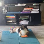 Àbdúl Hàkím❤️ - @kitty_cone8 - Instagram