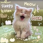 @kittyconee - Instagram