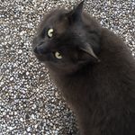 COOPERPOOPER - @kitty__cooper - Instagram