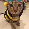 Kitty_Cooper76 - @kitty_cooper76 - TikTok