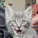 Kitty Cooper - @kitti.cooper - Instagram