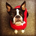 Kitty Cooper - @kittytheboston - Instagram