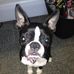 Kitty Cooper - Facebook