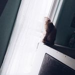 Kitty Cooper - @kitty._.cooper - Instagram