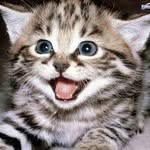 kittycooper - @kittycooper102 - Instagram