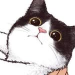 black and white kitty - @babykittycopeland67 - Instagram