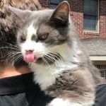 Kitty Davenport - @kitty.davenport - Instagram