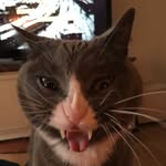 Kitty David - @kittydavid22 - Instagram