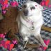 Catherine Doherty - Facebook