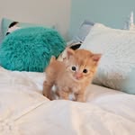 Kitty O'Doherty - @kitty_odoherty - Instagram