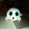 kittydoherty771 - @kittydoherty771 - TikTok
