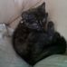 Kitty Dolan - Facebook