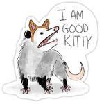 Kitty Elliott - @spooky_skary_skeletons - Instagram
