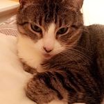 Kitty Elliott - @kittyelliott4ever - Instagram