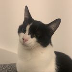 Kitty Ellis - @kitty.ellis.1777 - Instagram
