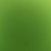 Kitty green - @greeen2asthetics2 - TikTok