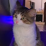 Kitty Griffin - @kitty._.irl11 - Instagram