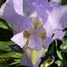Kitty Hahn - Facebook