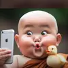 Kitty hammy - @hammykitty245 - TikTok