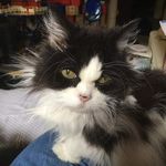 Kitty Schmidt Harmon - @kitty_schmidt_harmon - Instagram