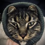 Kitty Hendrix - @kittyhendrixog - Instagram