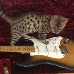 Kitty Hendrix - @thekittyhendrixexperience - Instagram