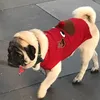 Kitty Henry - @kittyhenry - TikTok