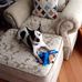 Kitty S. Henry - Facebook