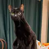 Kitty Hernandez - @kittyhernandez94 - TikTok