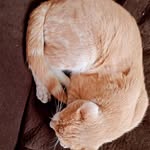 kitty Hernández Ortiz - @kittyhernandezortiz - Instagram