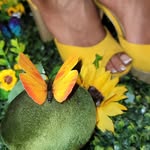 Kitten Hills - @kitty_hills - Instagram