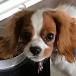 Kitty Hill - @kittydhill - Instagram