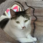 Kitty Hill - @kittyhillresort - Instagram