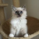 Selena Markson - @selena_kitty_hill - Instagram