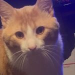Imma_ lit_af - @kitty_hogan_ - Instagram