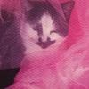 lil hufflepuff - @kittyhufflepuff - TikTok